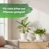 LENI Hydrokultur Komplett-Set mit Blumentopf Kulturtopf Produktbild-Vorschau 9
