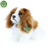 Plüsch King Charles Spaniel 25 cm umweltfreundlich Produktbild-Vorschau 16