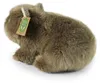 Plüsch-Wombat 20 cm, umweltfreundlich Produktbild-Vorschau 5