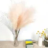 Künstliche Pampasgras,Kunstpflanze, 8Pcs 100 cm,Flauschig Produktbild-Vorschau 7