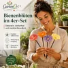 GartenOrt™ Kwiaty dla pszczół, poidła dla pszczół i owadów, Podgląd zdjęcia produktu 2