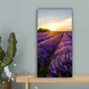 MuchoWow® - Leinwandbilder - Lavendel - Blumen - Produktbild-Vorschau 4