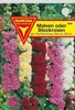 Stockrosen Malven Produktbild-Vorschau 1