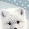 Duvet cover Good Morning 135x200 + 1* 80x80 cm - Arctic fox Produktbild-Vorschau 7