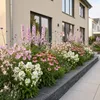 Staudenpaket - Bienen- und Schmetterlingsanziehend - 24 Produktbild-Vorschau 1