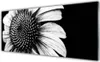 Glasbilder 125x50 Wandbild Druck auf Glas Blume Pflanzen Produktbild-Vorschau 1