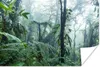 MuchoWow® Poster Ein nebliger Regenwald in Costa Rica Produktbild-Vorschau 1