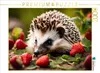 CALVENDO Puzzle Igelchen im Erdbeerfeld | 2000 Teile Produktbild-Vorschau 1