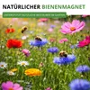 Bienenweide Blumenmischung - 100 g Samen für Bienenwiese - Produktbild-Vorschau 3