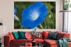 MuchoWow® Poster Blaue Orchidee vor einem verblassten Produktbild-Vorschau 2