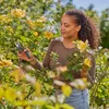 Gardena Gartenschere PremiumCut Flex Produktbild-Vorschau 7