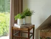 Two potted plants sit on a stack of books on a stool, next to a window with brown curtains. Voir les images du produit