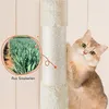 A cat is shown next to a scratching post, with a circular inset image showing sisal plants. Produktbild-Vorschau