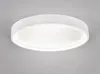 Plafoniera a LED bianco opaco, Ø 45 cm Anteprima dell’immagine prodotto 3