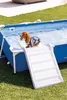 Piscina INTEX 48404 Frame Pet Set con sistema di filtraggio Anteprima dell’immagine prodotto 6