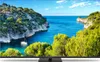 Thomson 55UG5C14 Téléviseur 139,7 cm (55") 4K Ultra HD Voir les images du produit 5