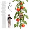KADAX Tuteur végétal en spirale en aluminium, 180 cm, 10 Voir les images du produit 1