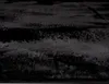 Robot aspirapolvere Carpet black soft easy-care adatto alle Anteprima dell’immagine prodotto 5