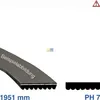 A product image showing two examples of a ribbed belt, one with text overlay and one without, along with size information. Produktbild-Vorschau