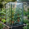 Relaxdays Gewächshaus für Tomaten 150 x 100 x 50 cm HxBxT, Produktbild-Vorschau 5