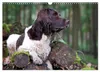 Faszination Jagdhund - Kleiner Münsterländer (Wandkalender Produktbild-Vorschau 9