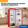 Exquisit Retro Kühlschrank 225 l | Energieklasse C | leise Produktbild-Vorschau 4