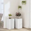 vidaXL Stojan na rostliny 2 ks. Bílý 30x30x50 cm Materiál Náhled obrázku produktu 2