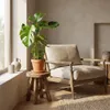 Monstera Deliciosa, pianta da interno, altezza 50-70 cm, Anteprima dell’immagine prodotto 4