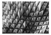 Basera Selbstklebende Fototapete 3D-Motiv f-A-0847-a-a, mit Produktbild-Vorschau 2