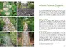 Unser naturnaher Kleingarten Produktbild-Vorschau 6