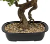Sztuczne drzewko Bonsai POLIN, czarna ceramiczna donica, 72 Podgląd zdjęcia produktu 4