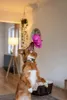Nobby 69084, Hund, Spielzeug für Hundehütten, Pink, Latex, Produktbild-Vorschau 7