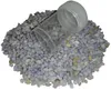 100 Schraubdosen 20ml Runddose Plastikdosen Labordose Produktbild-Vorschau 3