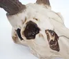 Deko Skull 58cm, Polyresin Hirschgeweih Kopf Trophäe, Produktbild-Vorschau 3