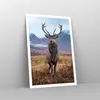 Poster - Poster ohne Rahmen - Hirsch Hirsch Schottland - Produktbild-Vorschau 7
