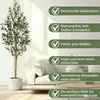 HAUSPROFI Kunstpflanze Olivenbaum 180 cm,Realistische Olive Produktbild-Vorschau 4