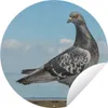 MuchoWow® Produktbild-Vorschau 1