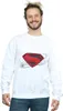 DC Comics - "Justice League" Sweatshirt für Herren BI29655 Produktbild-Vorschau 2