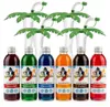 Sciroppo Slush set party 6 gusti 250 ml + 4 palme verdi 1:5 Anteprima dell’immagine prodotto 8