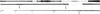 Daiwa Seahunter X Surf 4.20m 100-250g Anteprima dell’immagine prodotto 11