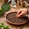 Tropica Bonsai: Blüten- und Zierkirsche Produktbild-Vorschau 3