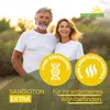 Wellpursan Sangioton Extra - 360 hochwertige L-Arginin Produktbild-Vorschau 2