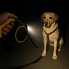 Laisse souple pour chiens avec lumière LED & distributeur Voir les images du produit 5