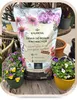 Blumenerde 20 l - Hochwertig - Nährstoffreich - Für Garten Produktbild-Vorschau 8