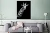 MuchoWow® Poster Giraffe - Wildtiere - Schwarz-Weiß - Produktbild-Vorschau 5