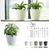 A collage of product images showing different sizes and colors of planters, along with a table of specifications. Anteprima dell’immagine prodotto