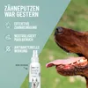 REAVET Dentalspray für Hunde - Entfernt Zahnbelag, Produktbild-Vorschau 2