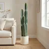 HOMCOM Kunstplant, cactus, groot formaat, 111 cm, Productafbeelding-voorbeeld 2