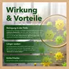 GRASHÜPFER® Probiotischer Bodenreiniger für Tierhaushalte Produktbild-Vorschau 5