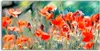 Coloray Canvas 140x70  Wandbild Leinwand Bilder Kunst Produktbild-Vorschau 1
